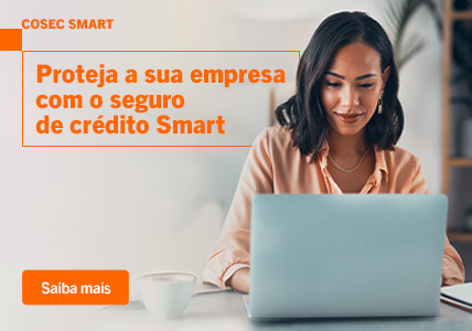 Info: Mulher ao computador a contratar o Seguro de Crédito Smart da Cosec.