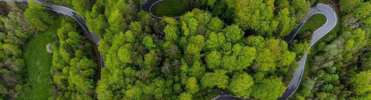 BPI Impacto Clima Agressivo. Vista aérea com uma estrada a serpentear uma densa floresta.