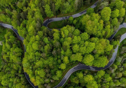 Vista aérea com uma estrada a serpentear uma densa floresta. BPI Impacto Clima Agressivo.