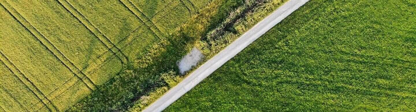 BPI Impacto Clima Obrigações. Vista área de um campo verdejante com uma estrada a meio.