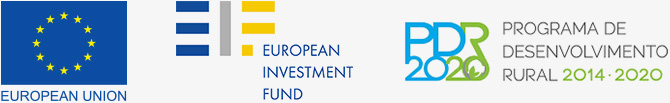 670x103_logos_european-union_european-investment-fund_pdr2020